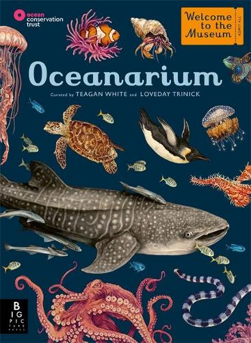 Oceanarium by  | 9781787416314