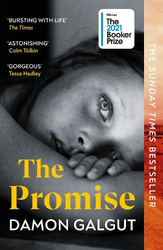 The Promise by Damon Galgut | 9781529113877