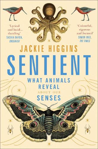 Sentient by Jackie Higgins | 9781529030815