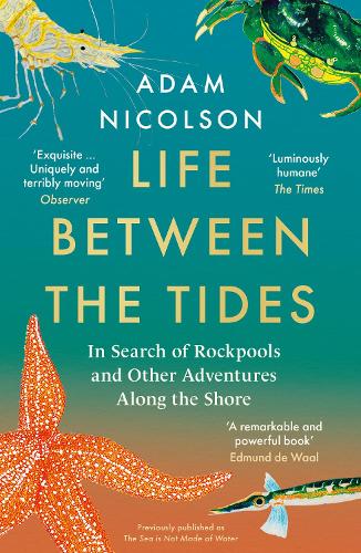 Life Between the Tides by Adam Nicolson