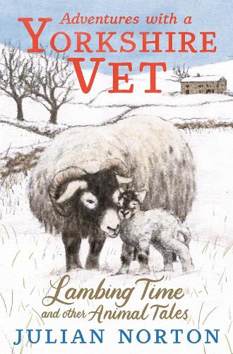 Adventures with a Yorkshire Vet: Lambing Time and Other Animal Tales by Julian Norton | 9781529509984