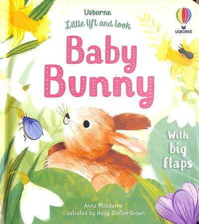 Little Lift & Look: Baby Bunny by Anna Milbourne | 9781803701653