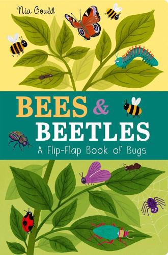 Bees And Beetles by Molly Littleboy | 9781801044585