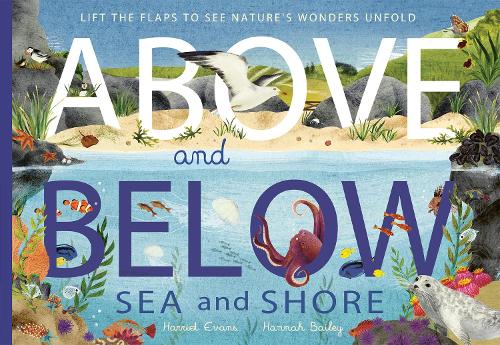 Above and Below: Sea and Shore by Harriet Evans and Hannah Bailey | 9781838915056