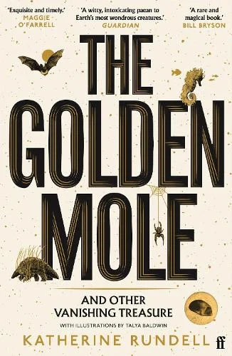 The Golden Mole by Katherine Rundell | 9780571362509