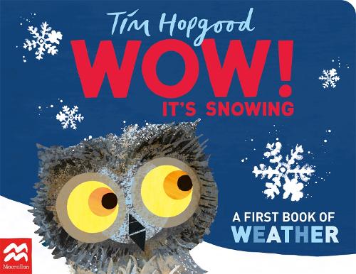 WOW! It’s Snowing by Tim Hopgood | 9781529098396