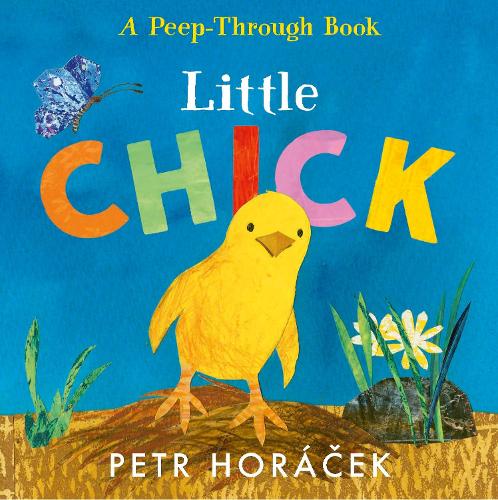 Little Chick by Petr Horácek | 9781529517361